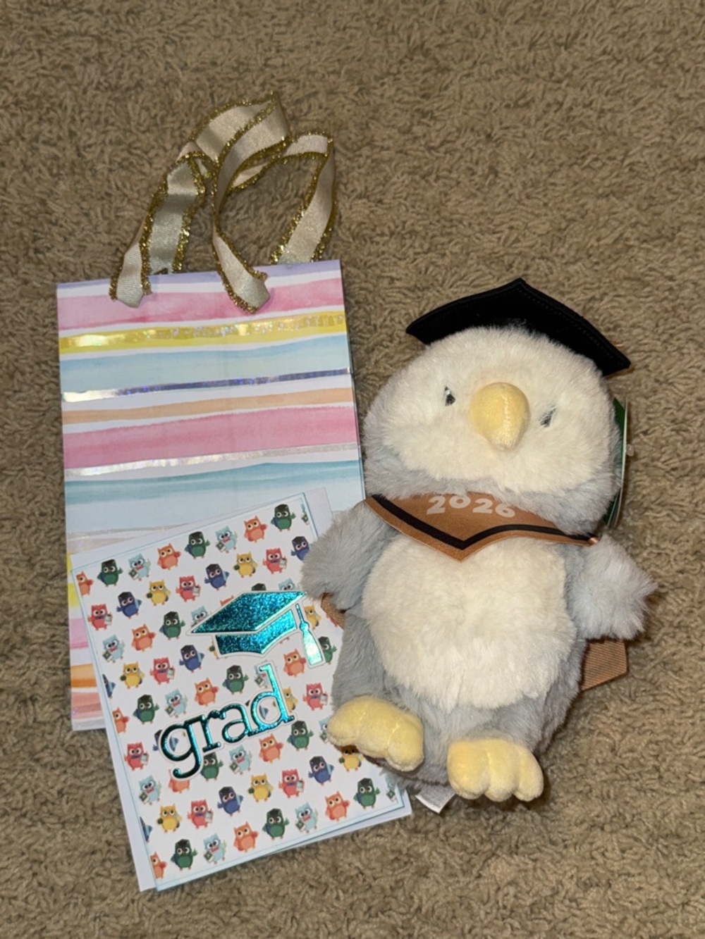Gray & Cream Plush Graduation Owl with Cap and Sash
